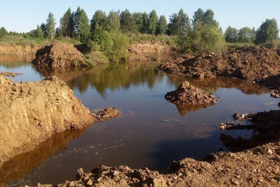 Минприроды Свердловской области оценило ущерб от осушения Шиловских болот