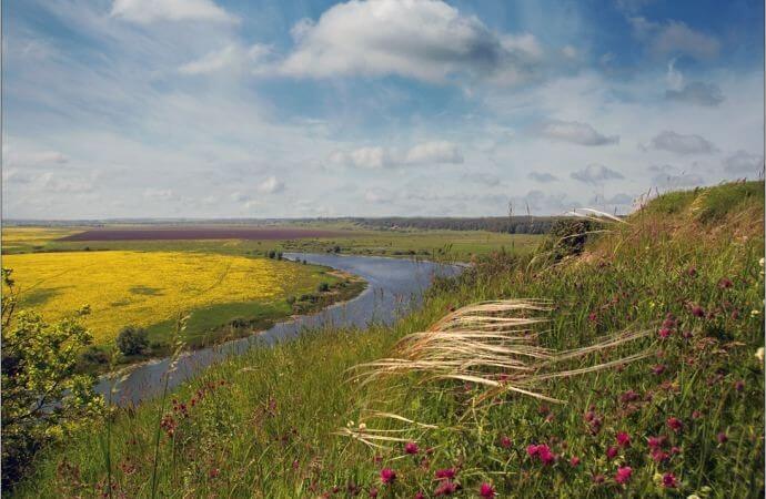 В Калужской области пройдет «Экофест-2020»
