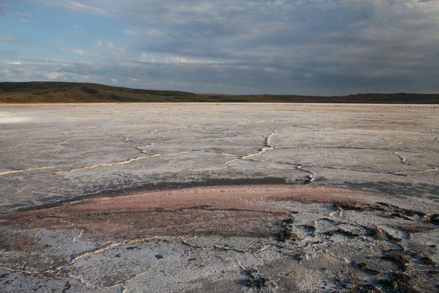 В соленых озерах Крыма нашли неизвестный науке вид червей