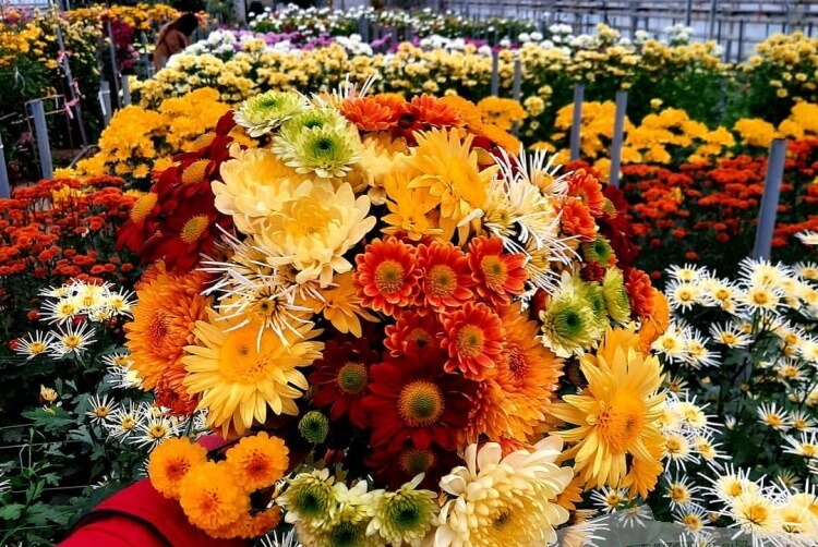 Экофотосесси проводят в Волгограде