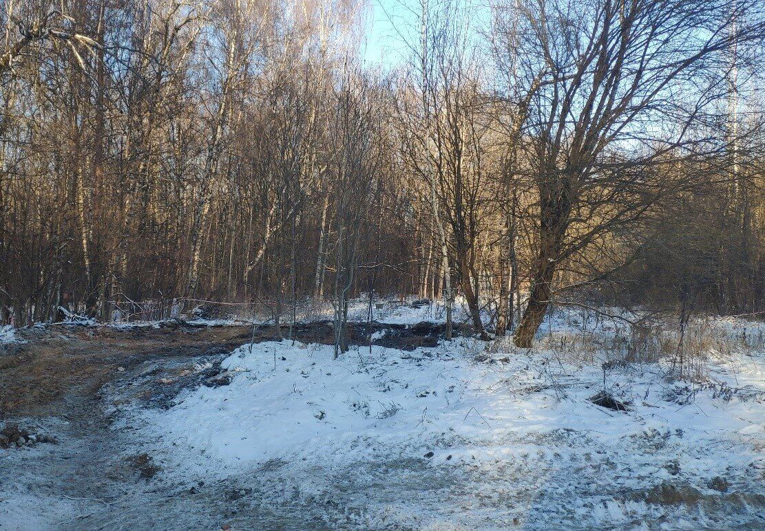 В 2022 году в Москве восстановят четыре природных парка