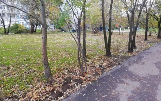 В Крылатском расчистили доступ к скверу