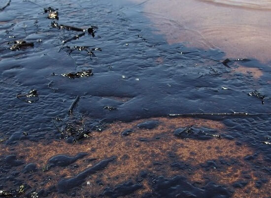На Волге ликвидировали нефтяное пятно площадью почти 40 тысяч кв. м