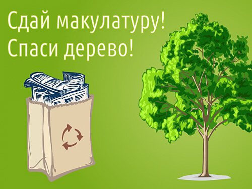 Эко-активисты Самарской области могут стать обладателями хвойной, лиственной и фруктовой аллей