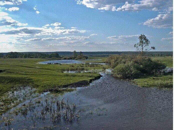 В Самарской области пересыхают десятки озёр