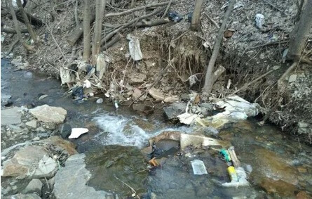 Река в Златоусте утонула в мусоре