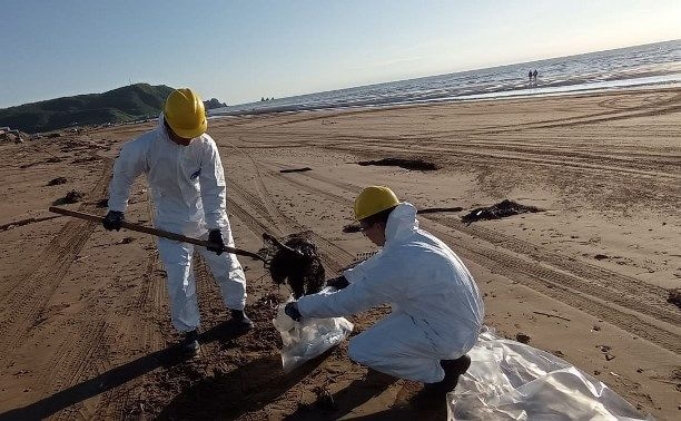Волонтёры убирают с сахалинского берега испачканные мазутом водоросли