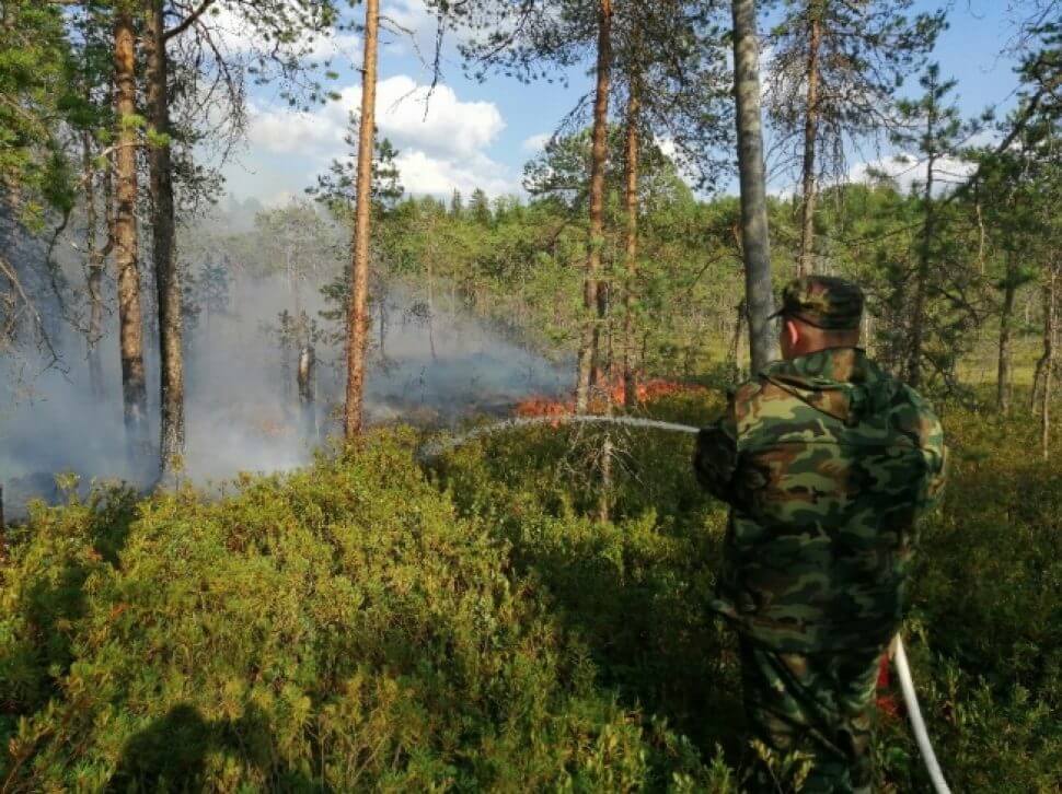 В нацпарке «Онежское Поморье» потушили сильнейший пожар