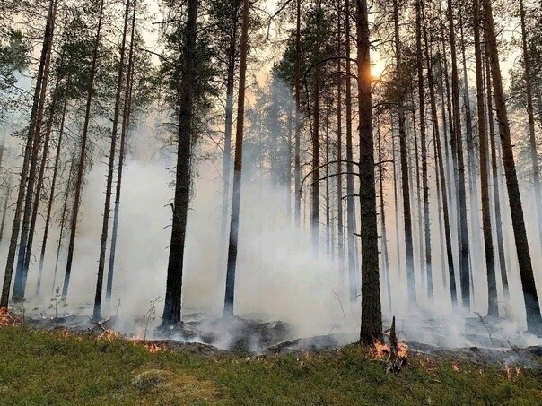 В России продолжают бороться с природными пожарами