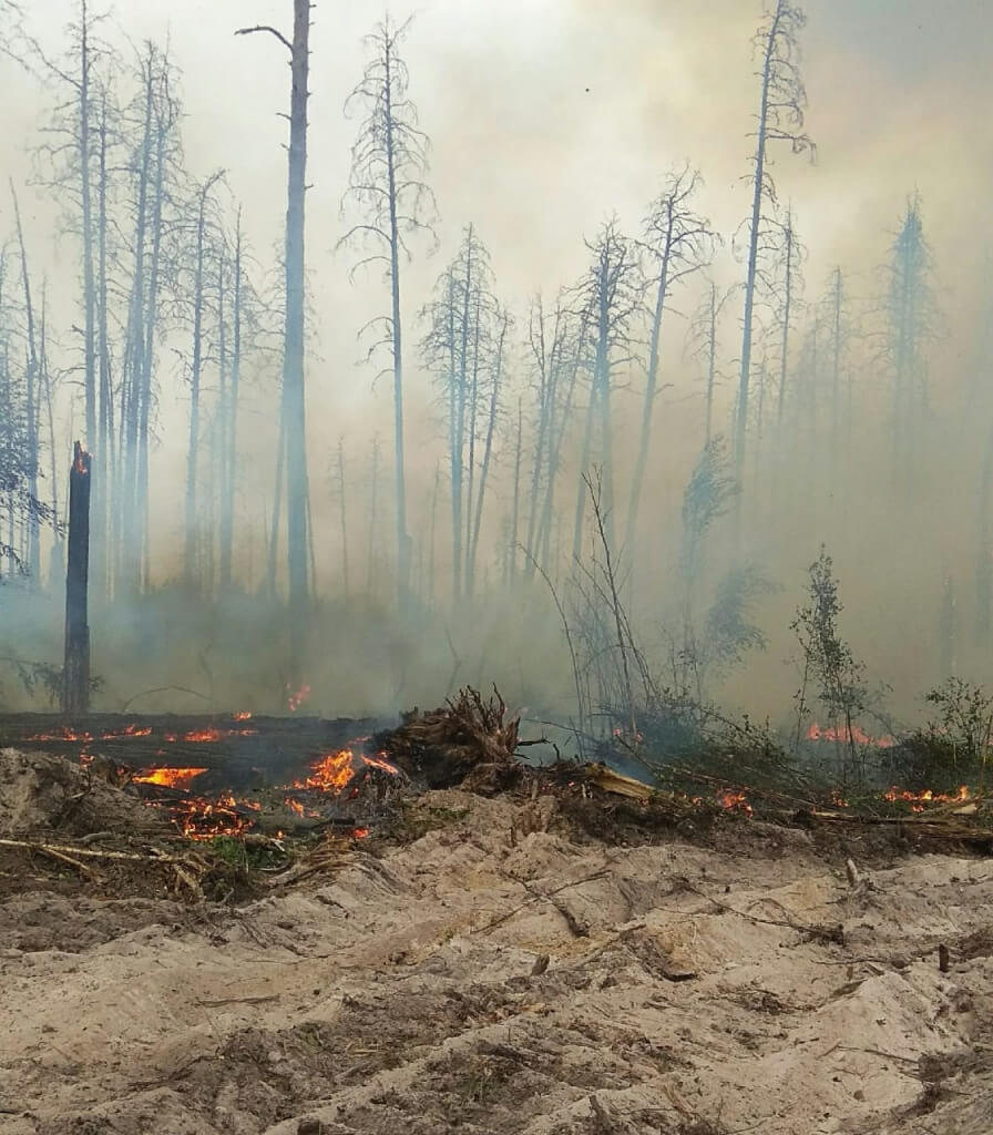 В Мордовии растет площадь лесного пожара