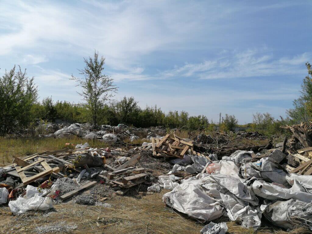 В Самаре обнаружена свалка с трупами животных