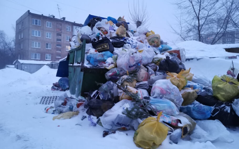 Алтайский край не может закупить мусорные контейнеры