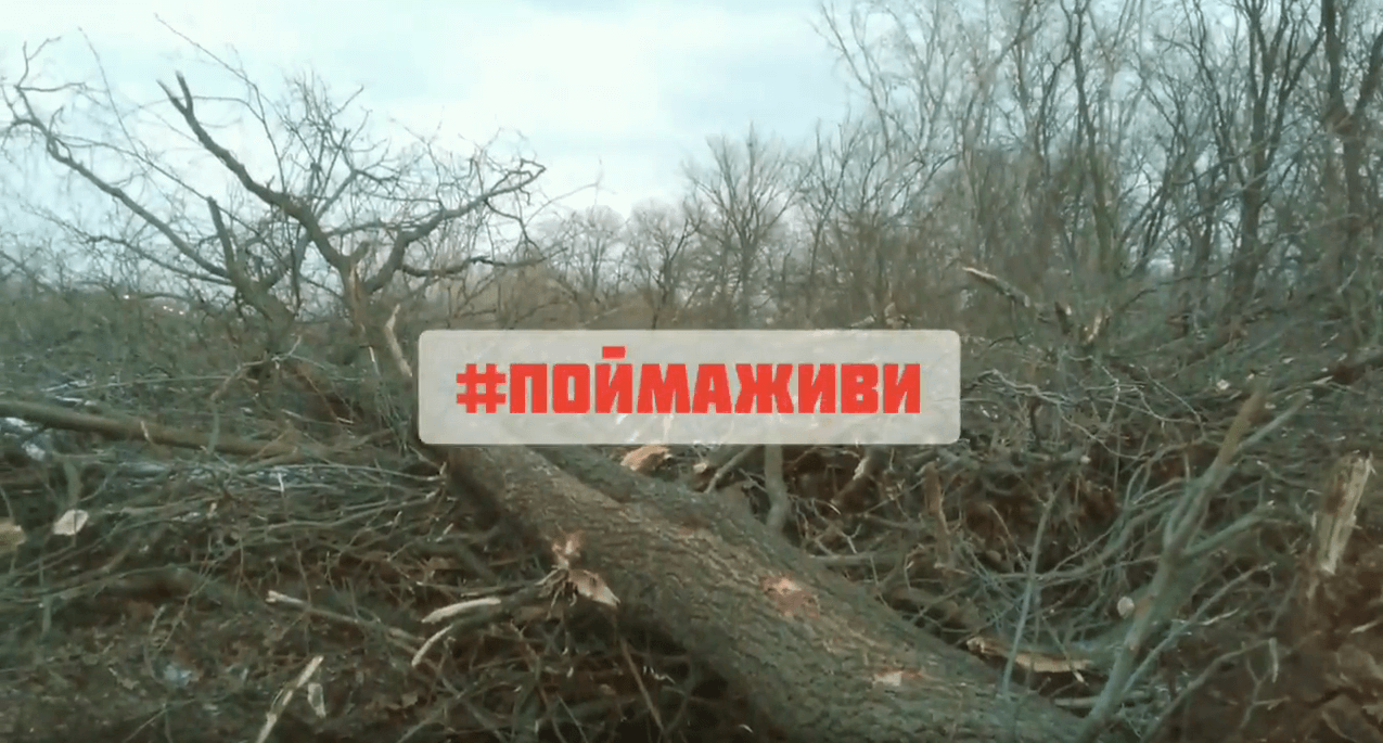 В Волго-Ахтубинской пойме продолжается вырубка деревьев