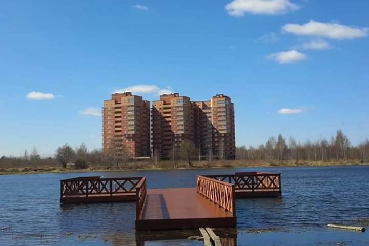 В Электрогорске приведут в порядок берег Стахановского озера