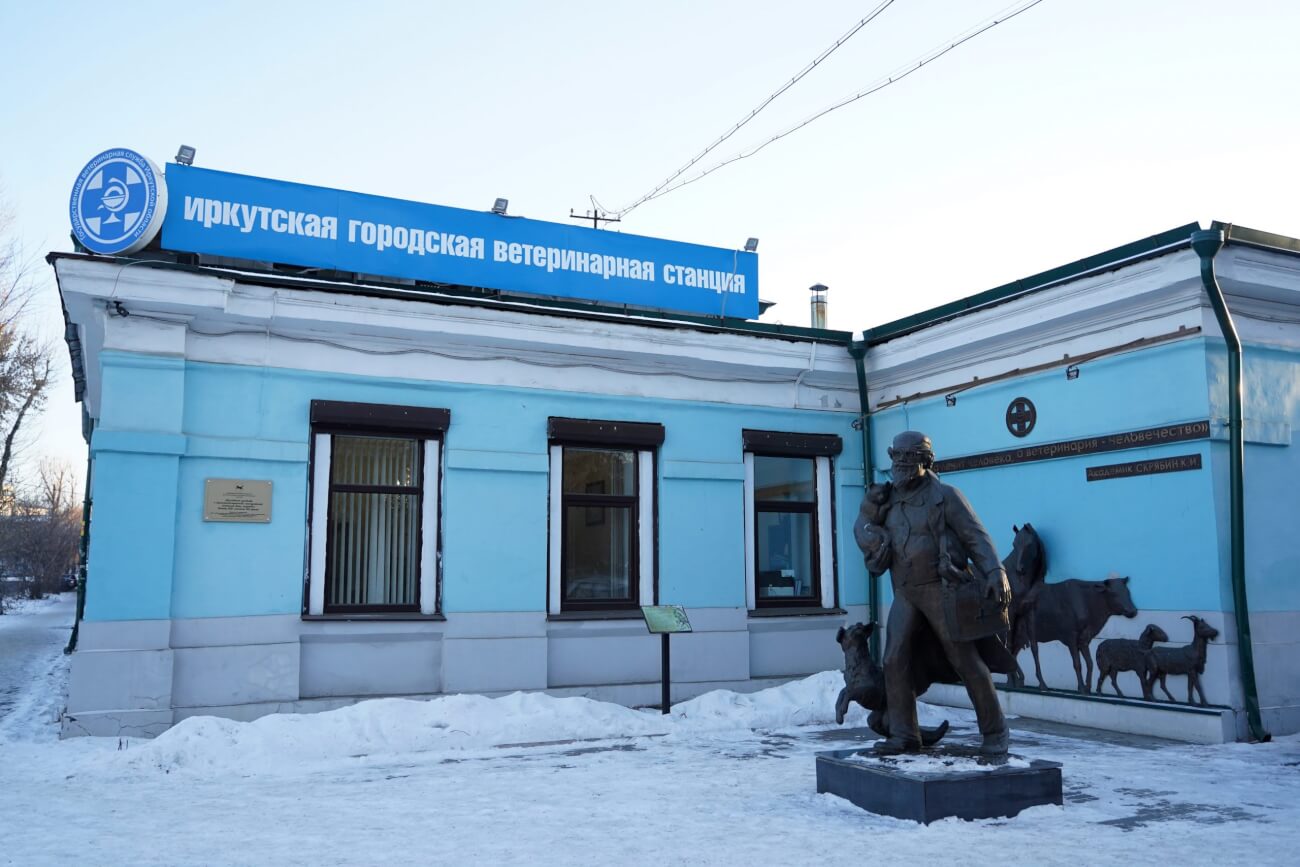 В Иркутской области появятся приюты для бездомных животных