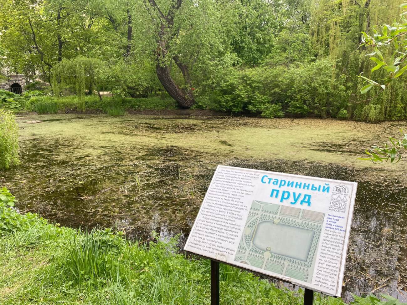 Пруды в Москве станут чище