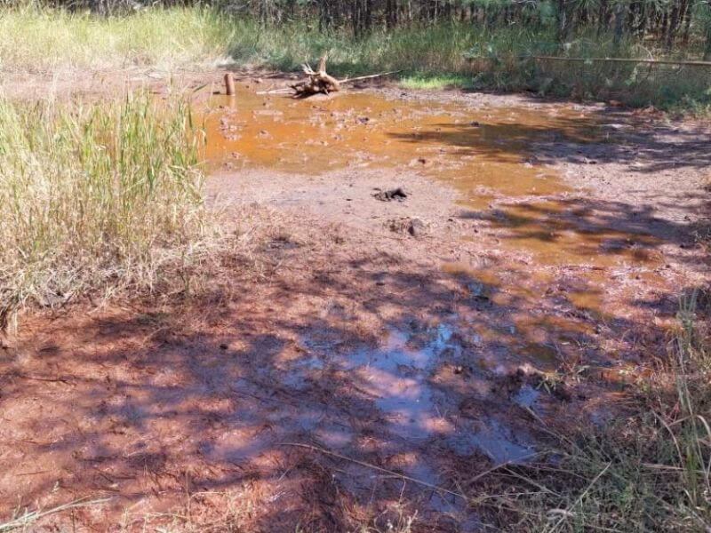 В Воронежской области проверят загрязнение земли на месте медно-никелевого месторождения