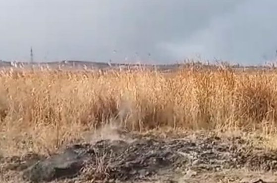 Иркутские пожарные предотвратили серьёзный природный пожар