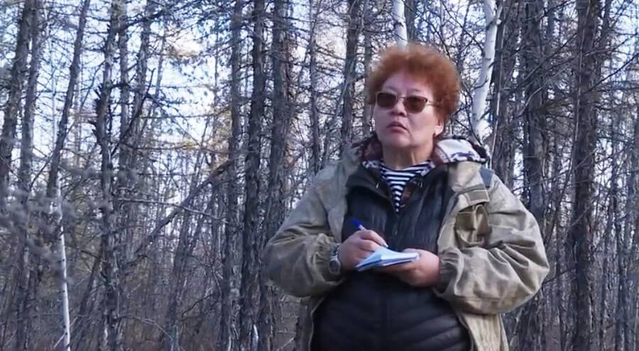 В Якутии завершаются исследования районов, где прошли лесные пожары