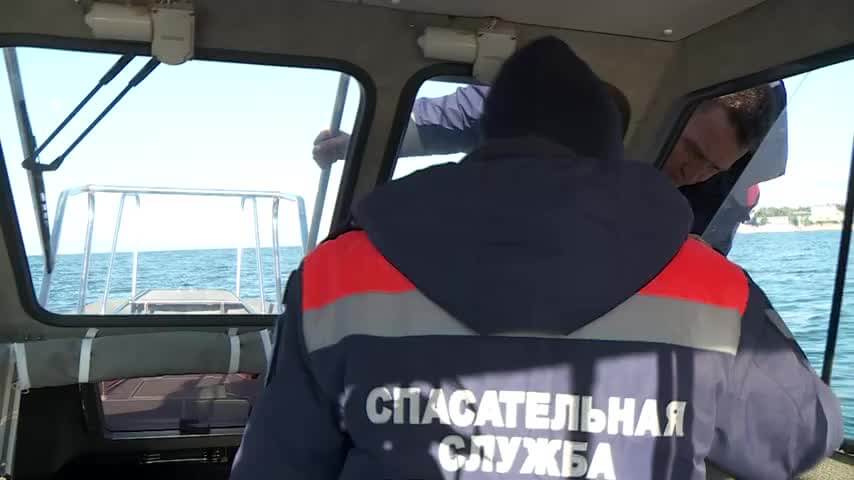 Севастопольским дельфинам станут помогать на постоянной основе