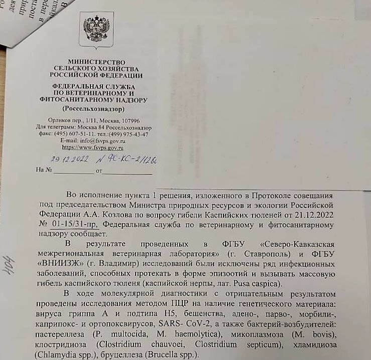 Россельхознадзор опроверг причину массовой гибели тюленей на Каспии