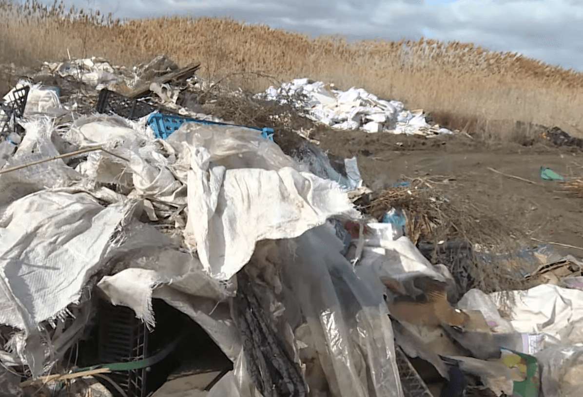 К 2024 году в Астраханской области рекультивируют свалку площадью 143 тысячи м2