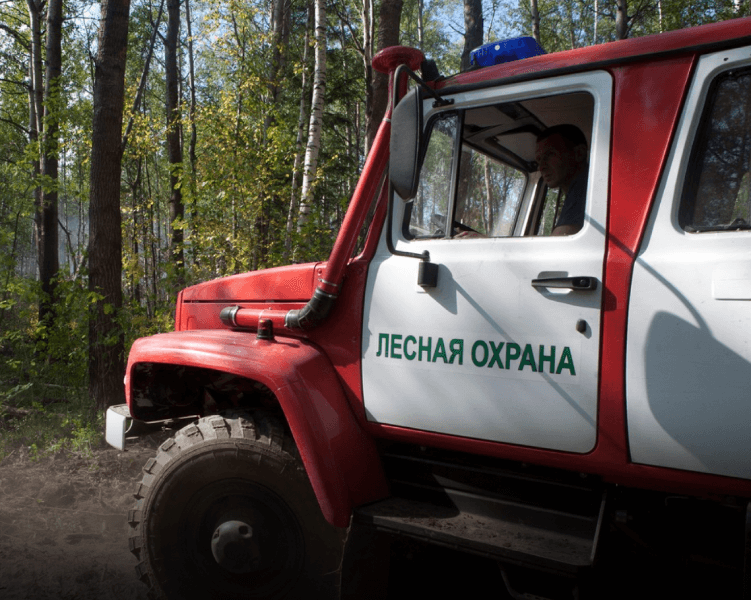 Рослесхоз: На сегодня в России действует 10 природных пожаров