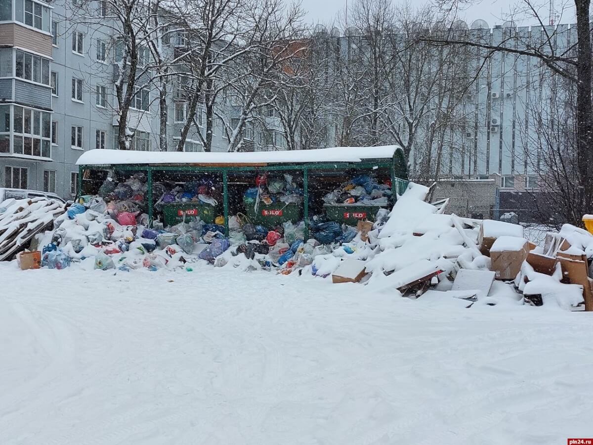 Против псковского регорепатора возбуждено дело из-за мусорного коллапса