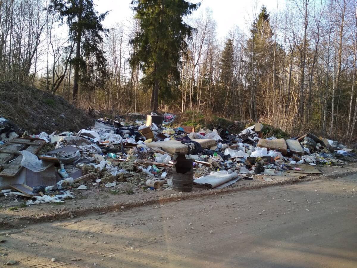 Нелегальные свалки обошлись Ленинградской области в 3,8 миллиарда рублей