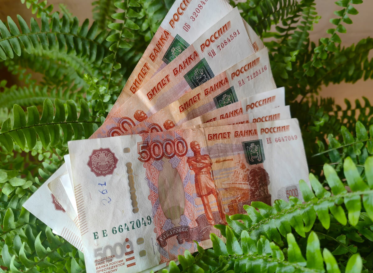 «Фонд ‘Компас» предложил направлять экоплатежи в бюджеты регионов