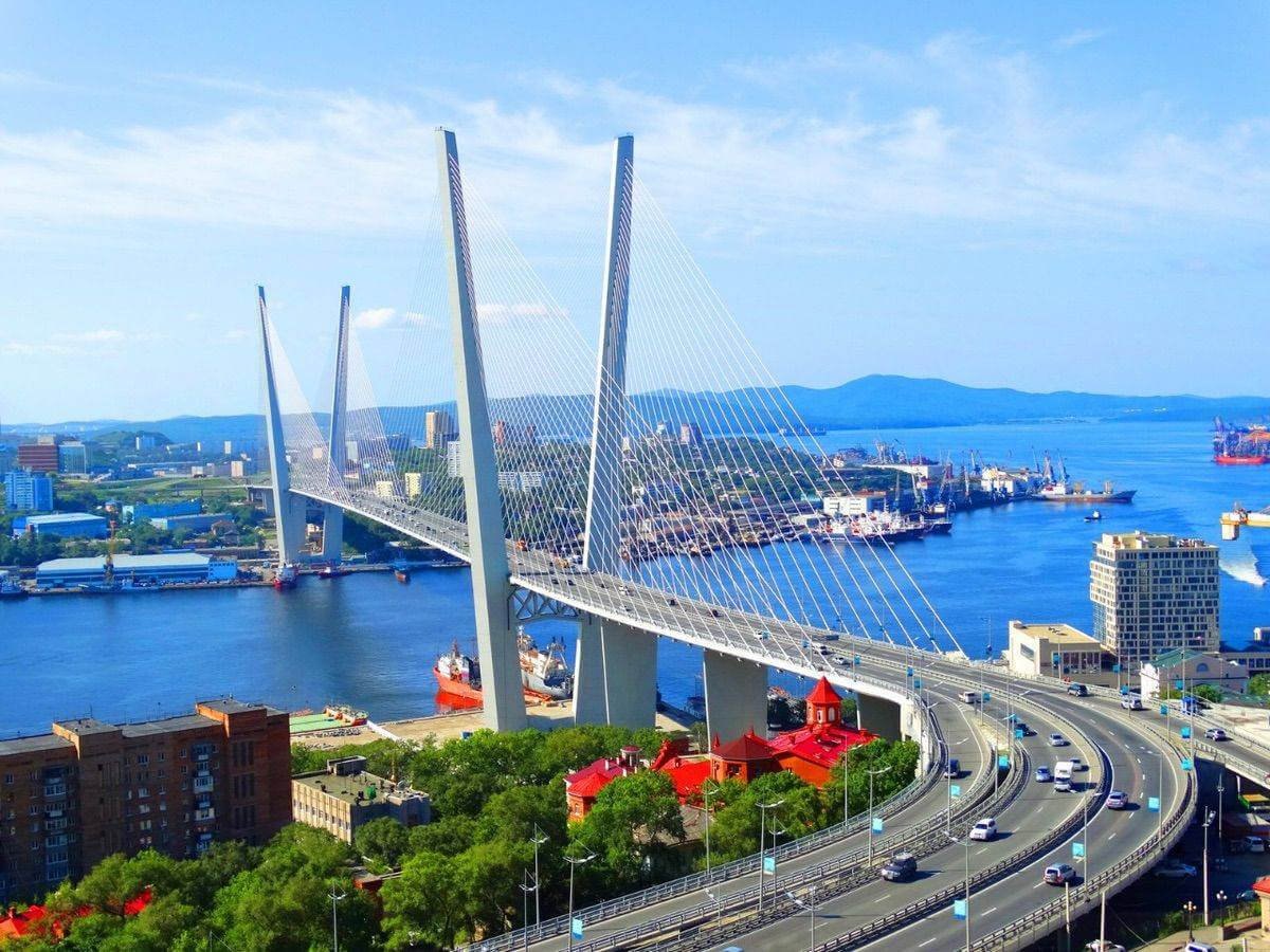 Во Владивостоке появится собственный лесопитомник