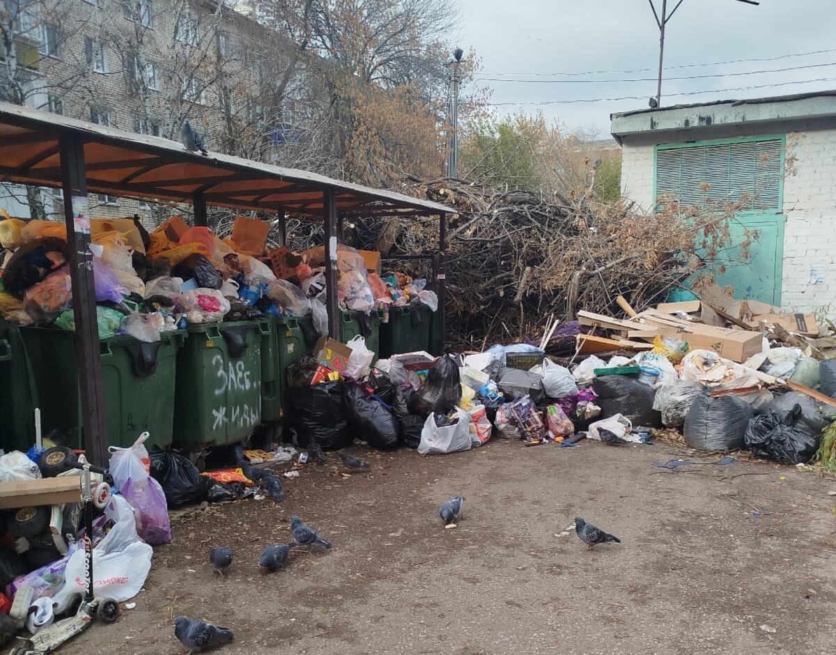 Самарская область утопает в отходах