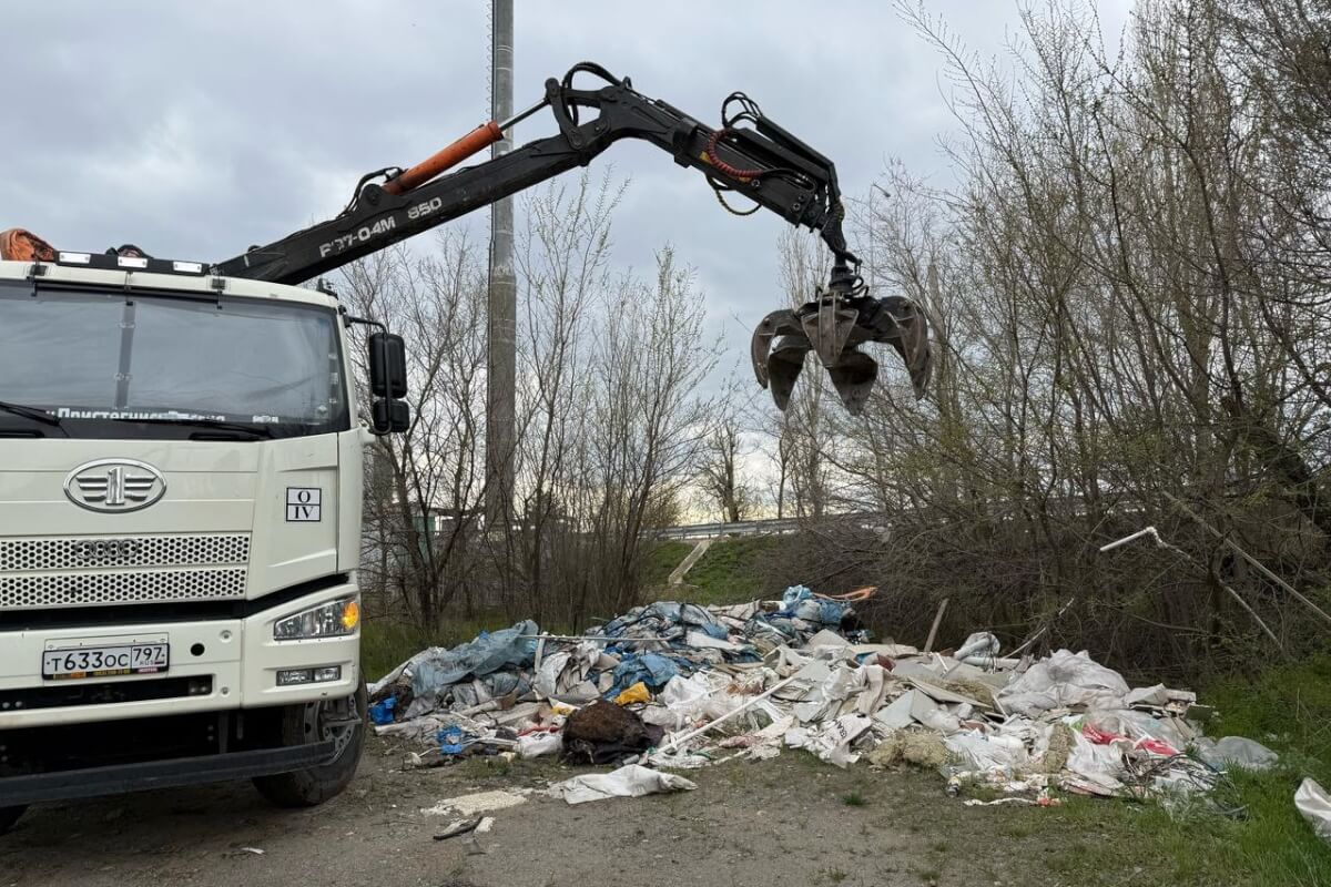 В 2025 году на Дону ликвидируют 50 незаконных свалок