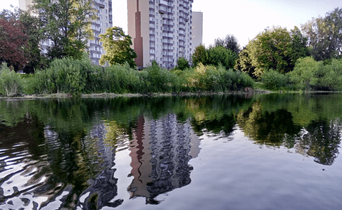 В Подмосковье до конца года расчистят 20 водоемов