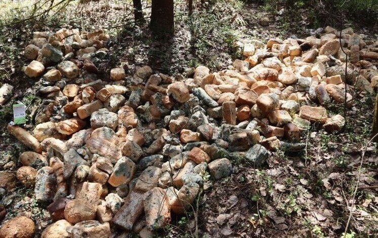 В Кирове обнаружили две свалки из хлеба