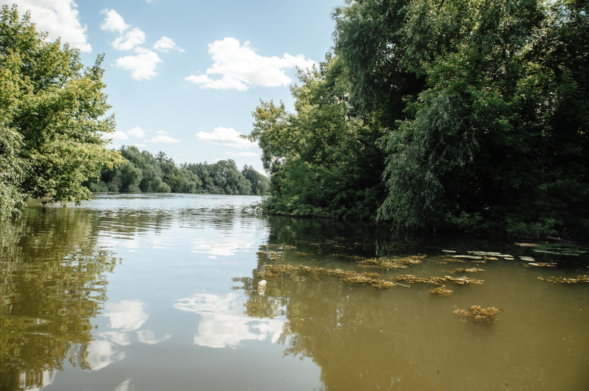 В Курской области от обмеления спасут три водных объекта