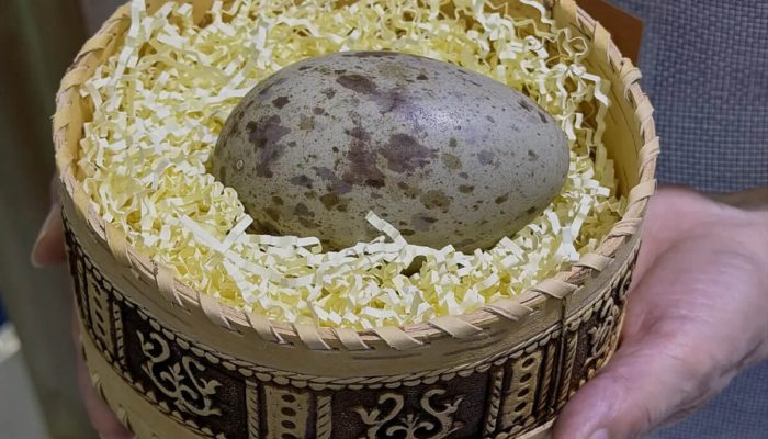 Российские и китайские орнитологи проведут совместную экспедицию по изучению стерха в Якутии