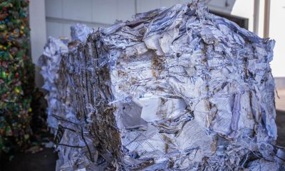 Школьники из разных регионов России собрали десятки тонн макулатуры для восстановления лесов