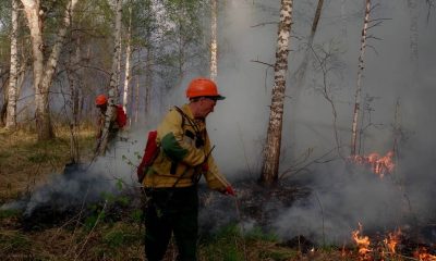 Лесные пожары в России охватили более 37 тысяч гектаров