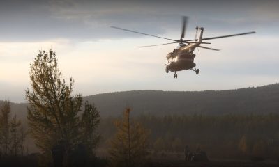 В России обновили правила пожарной безопасности в лесах
