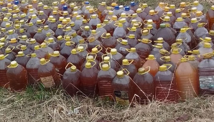 В Карелии жители обнаружили свалку канистр с фритюрным маслом