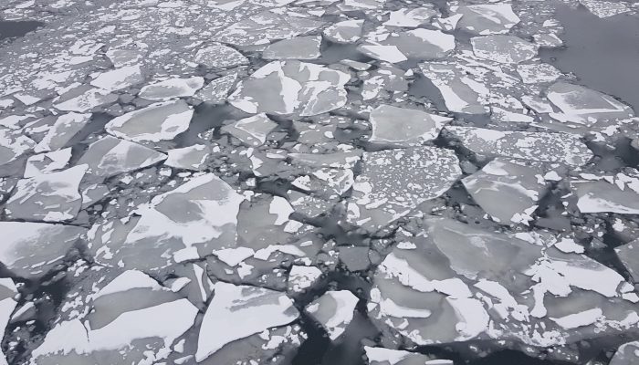 В Якутии объявили срочную эвакуацию жителей Витима и Пеледуя из-за паводка