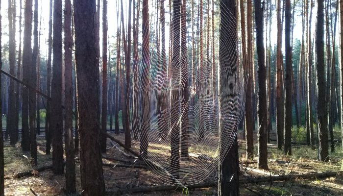 Собирать по-новому