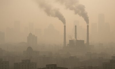 СахГУ присоединился к Российскому партнёрству за сохранение климата