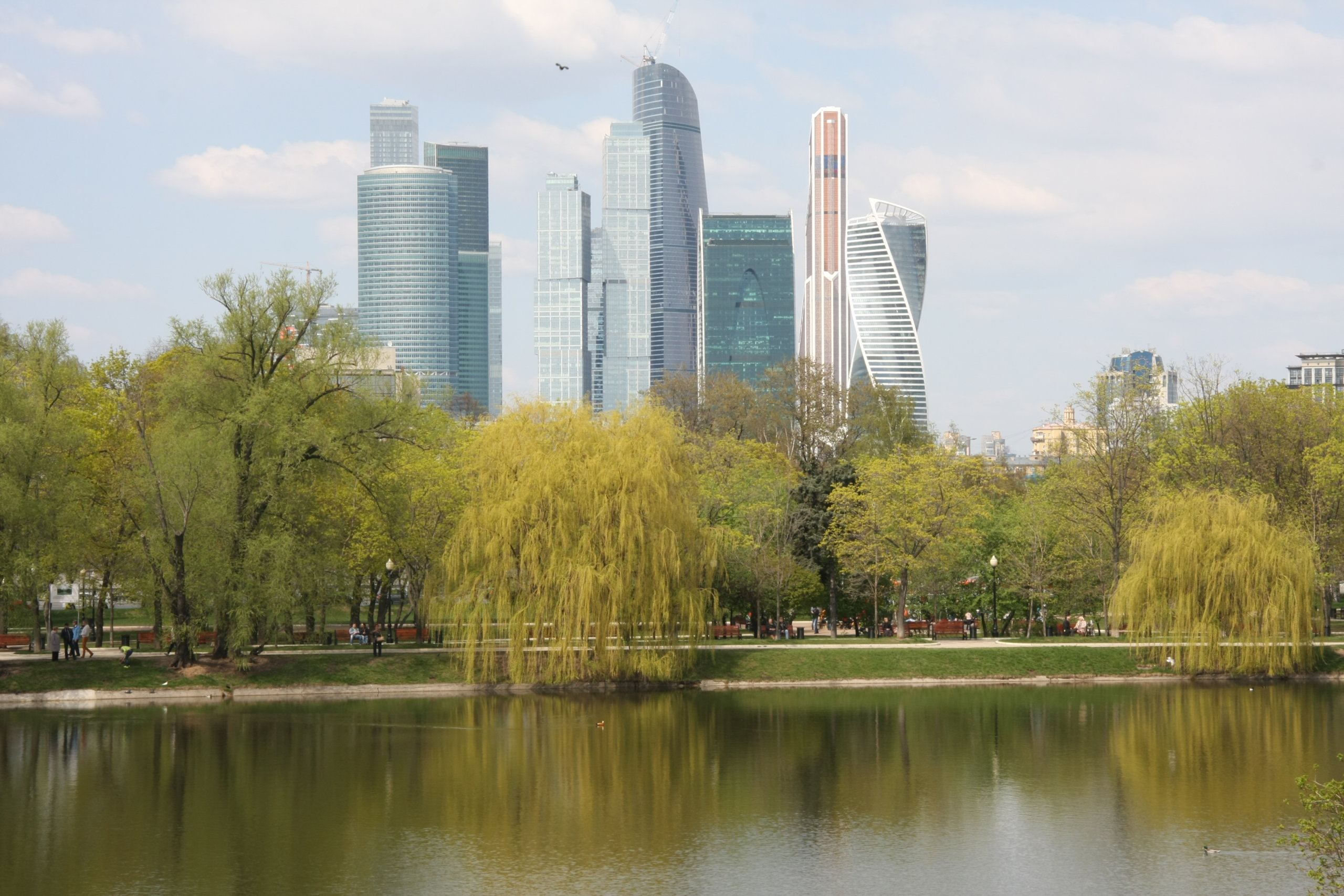 Ученые выяснили, какие зеленые насаждения лучше всего защищают города от жары