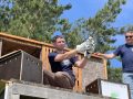 В Татарстане в природу выпустили 20 птенцов сокола-балобана